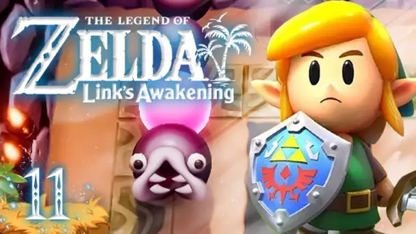Zelda Link's Awakening HD : Temple du Poisson-Chat #11