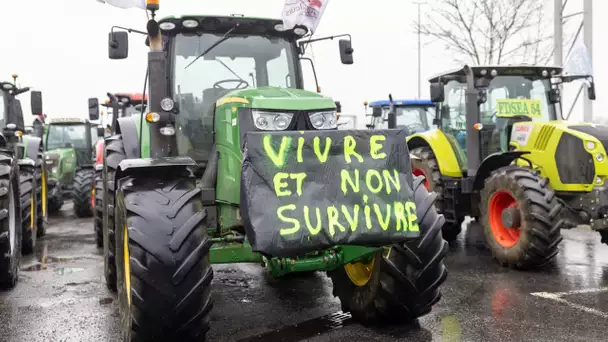 Blocage des agriculteurs : «Nous allons envahir le terrain», la gronde des paysans s'empare de la…