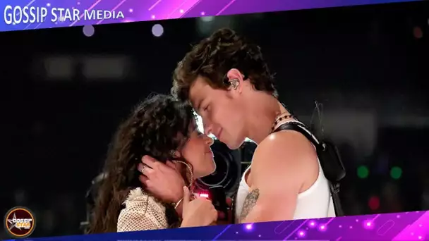 Camila Cabello et Shawn Mendes en couple depuis deux ans, ils annoncent leur séparation