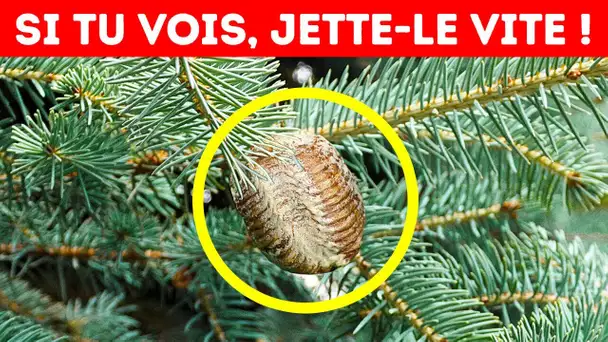 Si tu vois Ceci sur ton Arbre de Noël, Jette-le Immédiatement