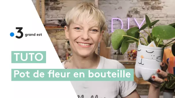 Tuto pot en forme de chat : recycler une bouteille plastique en pot de fleur mignon