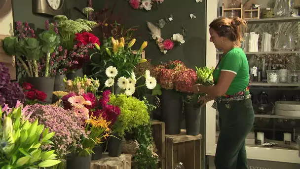 Horticulture : du nouveau pour la traçabilité des fleurs