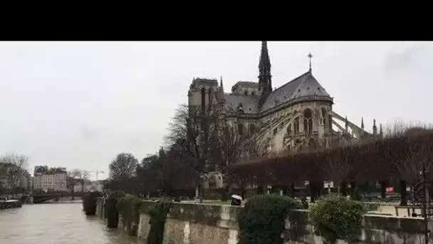 De la BNF à la Tour Eiffel, les images de la crue de la Seine à Paris