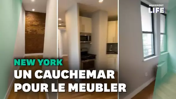 Vous cherchez un appartement à louer? Celui-ci va vous donner mal à la tête