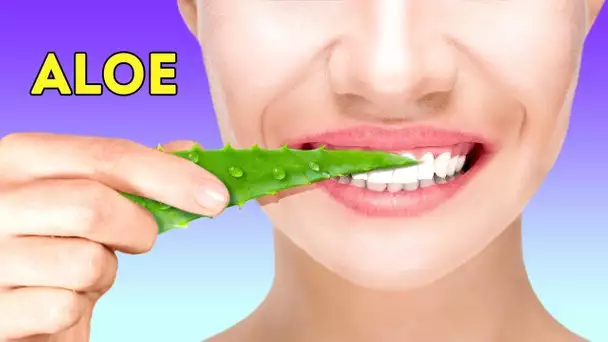 30 ASTUCES BRILLANTES AVEC DE L’ALOE VERA QUE TU VAS ADORER