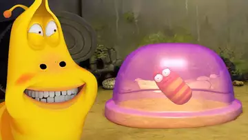 Pudding | LARVA | Dessins animés pour enfants | WildBrain pour les enfants