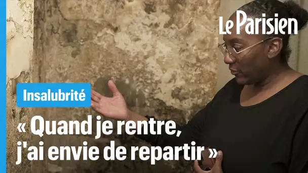 « Pire qu’une cave » : Gladys et ses enfants piégés dans un taudis depuis deux ans