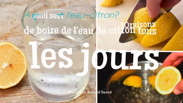 À Quoi Sert L&#039;eau Citronnée ? 10 Raisons De Boire De L&#039;eau De Citron Tous Les Jours