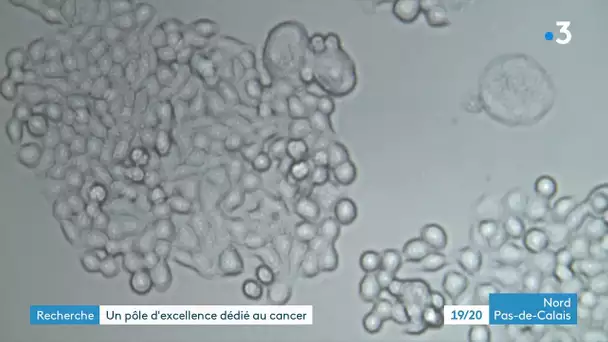 Oncolille, un institut unique en France pour combattre les cancers les plus agressifs