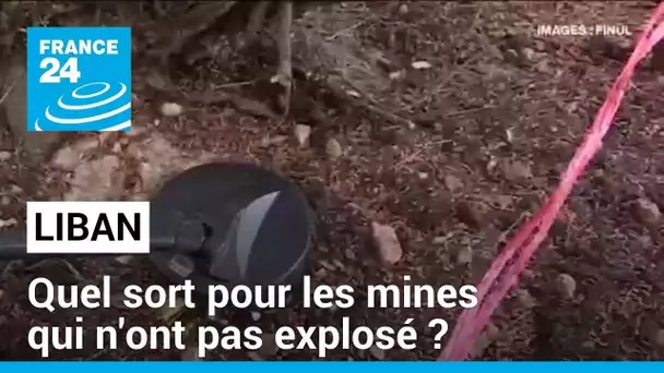 Liban : quel sort pour les mines qui n'ont pas explosé ? • FRANCE 24