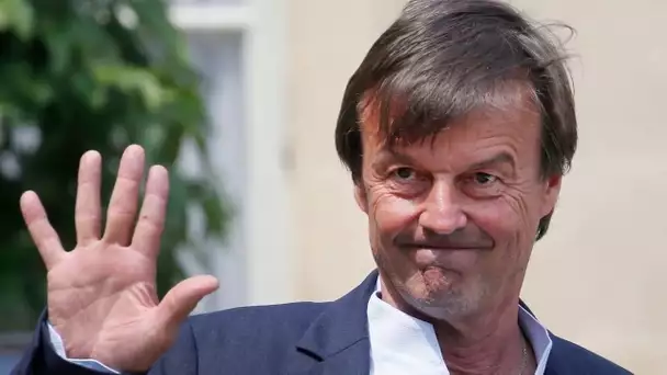 Nicolas Hulot sommé de quitter le gouvernement