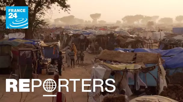 Darfour, les récits de l'horreur