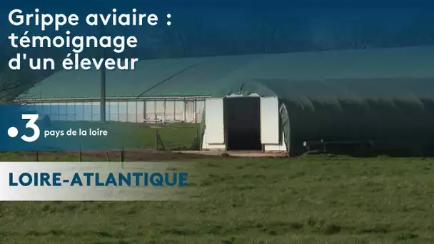 Grippe aviaire : témoignage d'éleveurs à Sainte-Étienne-de-Mer-Morte