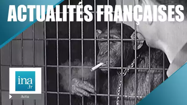 Les Actualités Françaises du 28 juin 1961 : Le zoo de Jean Richard | Archive INA