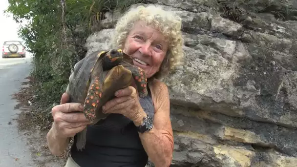 La sauveuse des tortues de St Barth