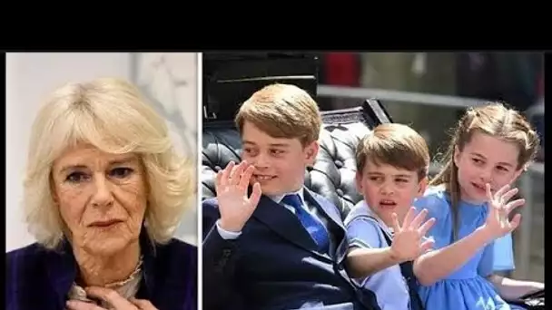 Le prince William a dit à Camilla qu'elle n'était pas la belle-grand-mère de George, Charlotte et Lo