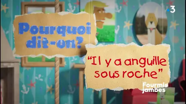 Pourquoi dit-on : il y a anguille sous roche !