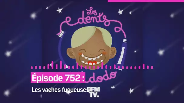 Les dents et dodo - “Épisode 752 : Les vaches fugueuses”