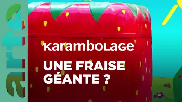 Le kiosque à fraise | Karambolage | ARTE