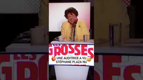 Une auditrice a vu Stéphane Plaza nu...