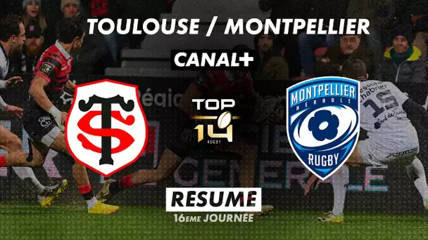 Le résumé de Toulouse / Montpellier - TOP 14 - 16ème journée