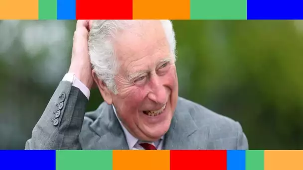 👑  PHOTO – Le prince Charles souriant malgré la bombe lâchée par Harry : il fait bonne figure