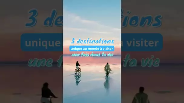 La dernière destination est folle😨