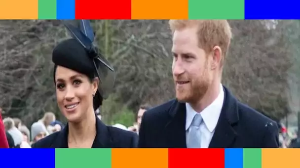 👑  Jubilé de la Reine : pourquoi Harry et Meghan Markle ne seront certainement pas de la fête