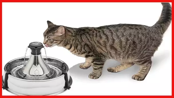 PetSafe Stainless 360 Pet Fountain - 1 Gallon (128 oz) Dog and Cat Water Fountain - Water Filters