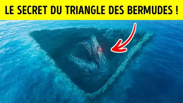 Le Plus Grand Secret du Triangle des Bermudes RÉVÉLÉ : Découverte d'Immenses Créatures Océaniques