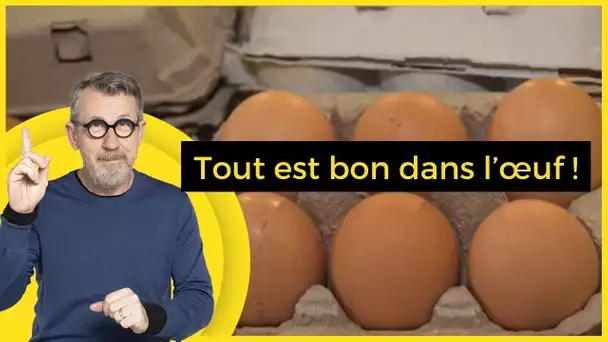 Tout est bon dans l’œuf !  - C Jamy