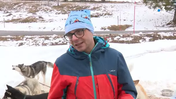 Course de chiens de traîneaux aux Fourgs, dans le Doubs