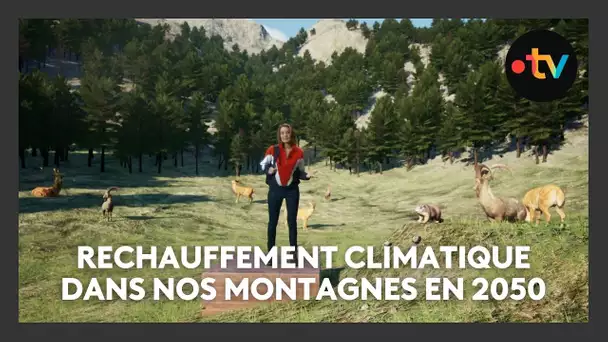 A quoi pourraient ressembler nos montagnes en 2050 (4/5)