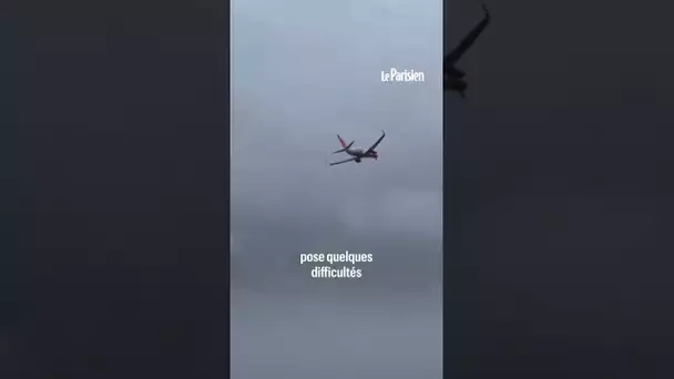 Typhon au Japon : les images terrifiantes d'avions bousculés par le vent, incapables d'atterrir