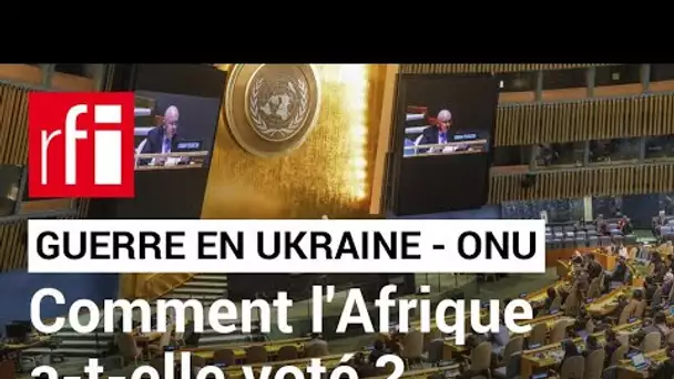 Guerre en Ukraine : comment l'Afrique a-t-elle voté à l'ONU ? • RFI