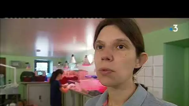 Portrait du Gorna, le Groupement Ornithologique du Refuge Nord Alsace