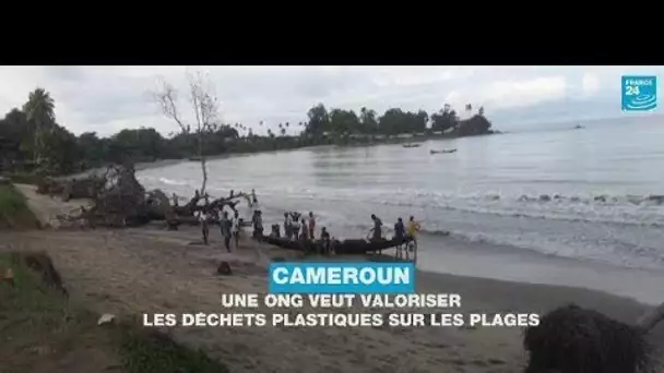 Au Cameroun, une ONG veut valoriser les déchets plastiques sur les plages • FRANCE 24