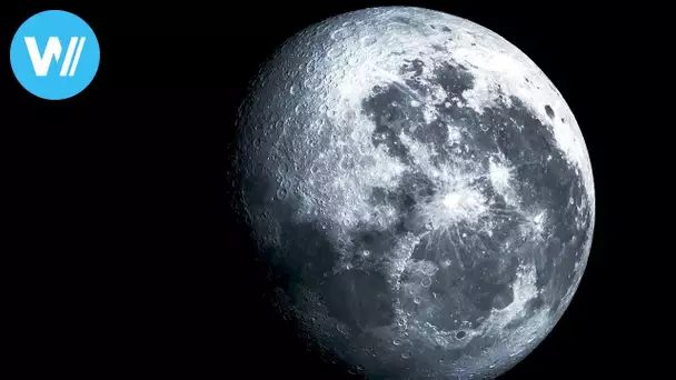 50 years after the moon landing: what do we really know about the moon?