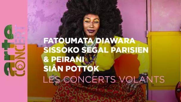 Fatoumata Diawara - Sissoko Segal Parisien & Peirani - Siân Pottok-Les Concerts Volants-ARTE Concert