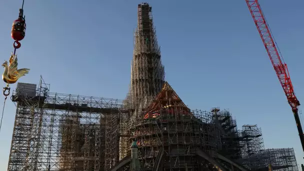 Paris : Notre-Dame retrouve son coq, nouveau marqueur de sa renaissance