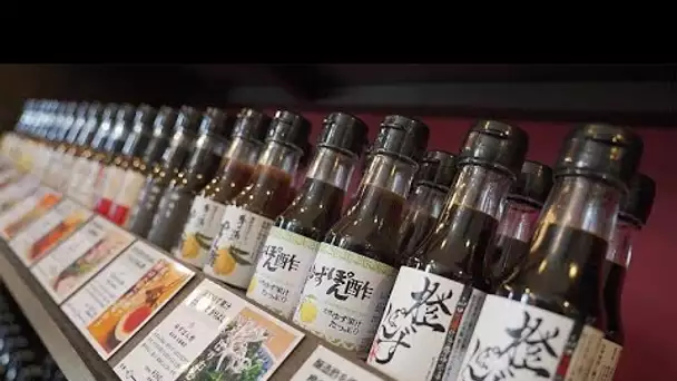 Les mille nuances de la sauce soja japonaise