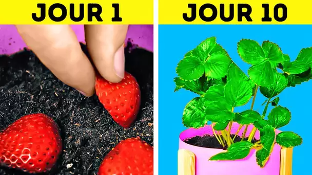 Des Astuces Géniales Pour Faire Pousser Tes Propres Plantes