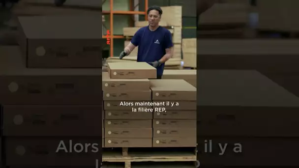 IKEA incite-t-il à la surconsommation ? 🧐 #écologie #fastfashion