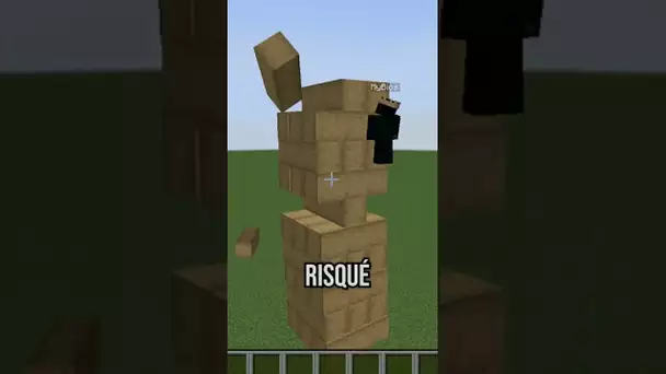 Jouer au Jenga dans Minecraft ?!