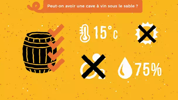 Les ? de Noa #35 : peut-on avoir une cave à vin sous le sable ?