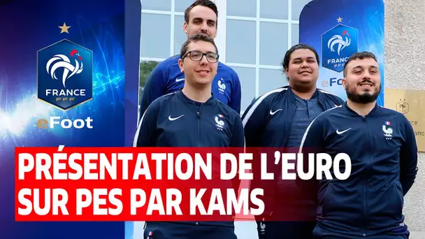 Présentation de l'eEuro sur PES par Kams