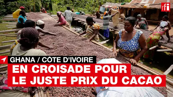 #Ghana #CôtedIvoire : En croisade pour le juste prix du cacao