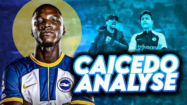 🇪🇨 Qui est Caicedo, courtisé par toute la Premier League ?