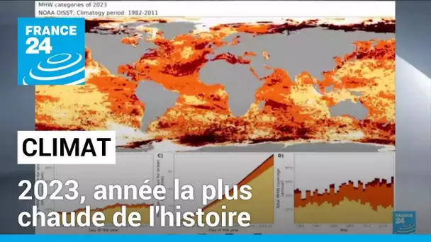 2023, année la plus chaude de l'histoire • FRANCE 24