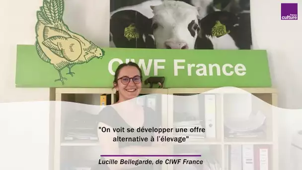 Lucille Bellegarde :"On voit se développer une offre alternative à l’élevage intensif "